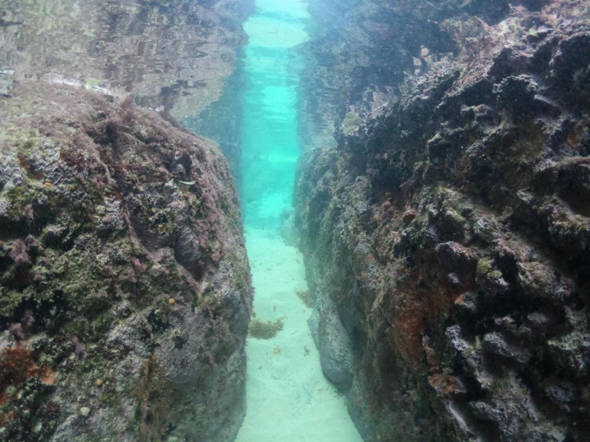 Pousada Flor Do Atlantico فرناندو دي نورونها المظهر الخارجي الصورة